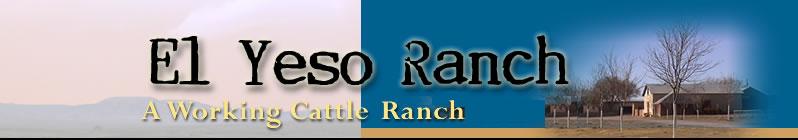 El Yeso Ranch A Working Cattle & Guest Ranch